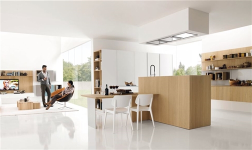 Modern Kitchens, Euromobil, Living and Cooking - The kitchen Euromobil which extends in the living area: elegant, functional and coordinated. Lots of customizable solutions "fit" in a variety of woods and precious lacquer for a unique style.